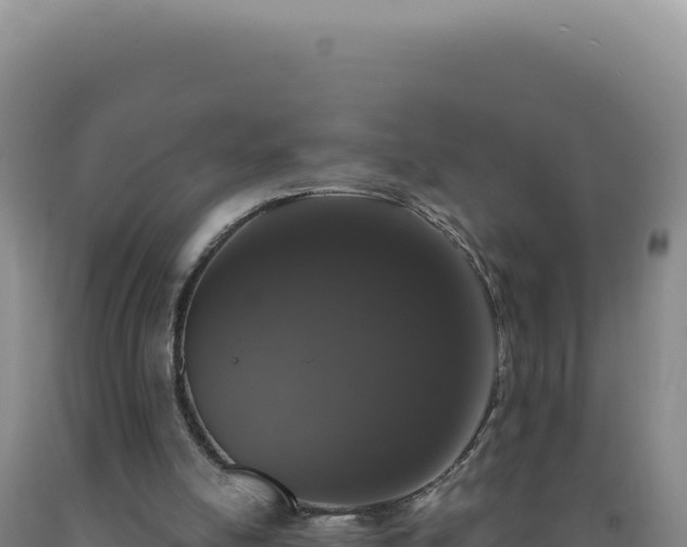 X0000090750054200707271453