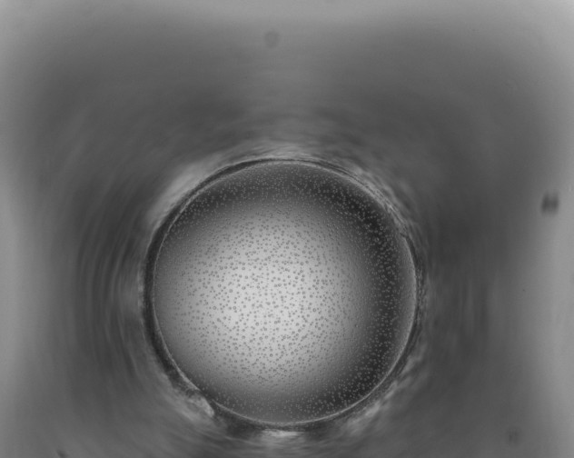 X0000090750055200707271453