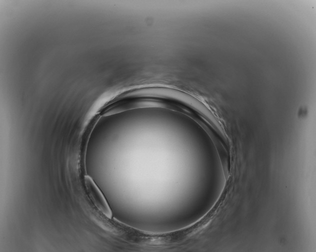 X0000090750056200707271453