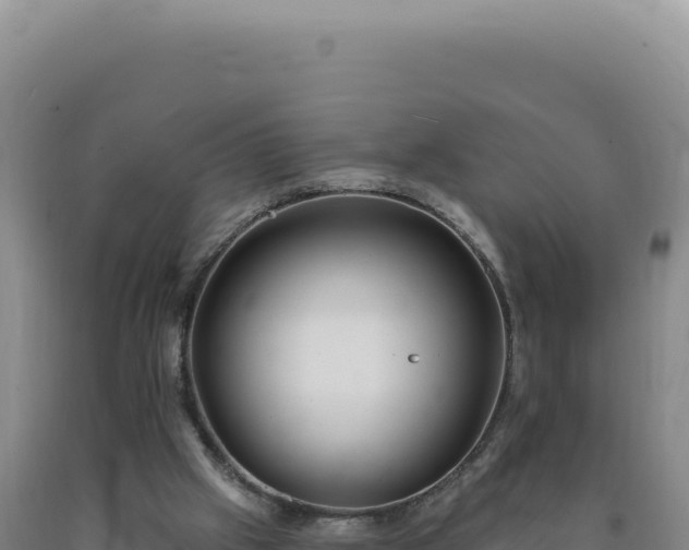 X0000090750057200707271453