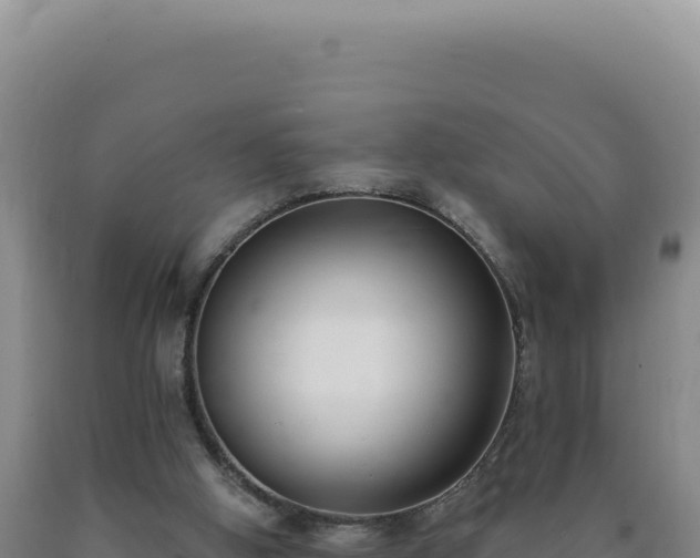 X0000090750058200707271453