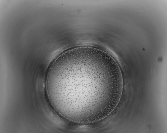 X0000090750059200707271454