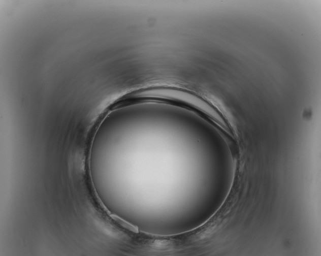 X0000090750060200707271454