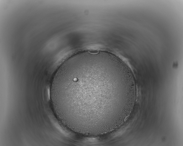 X0000090750061200707271454