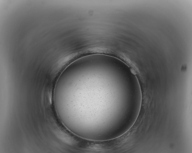 X0000090750062200707271454