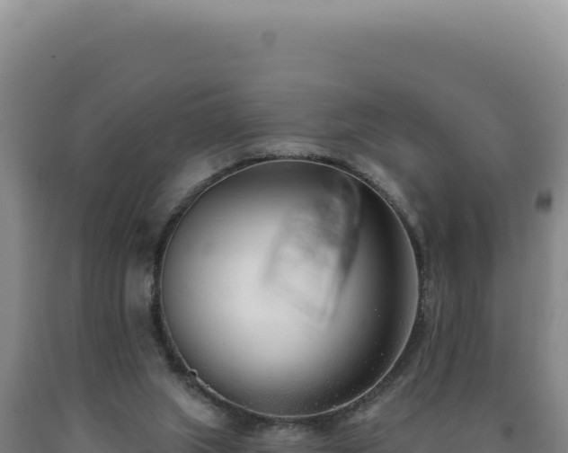 X0000090750063200707271454