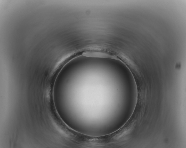 X0000090750064200707271454