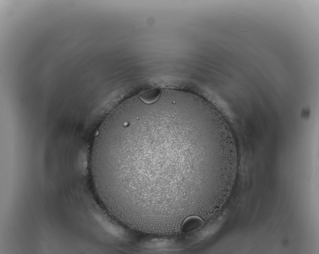 X0000090750065200707271454