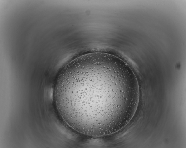 X0000090750067200707271454