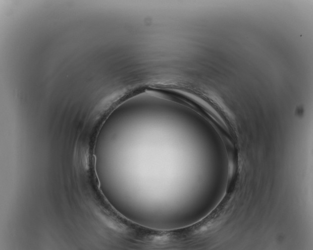 X0000090750068200707271454