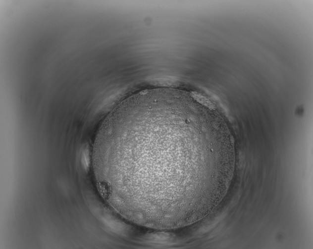 X0000090750069200707271454