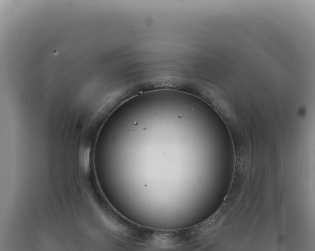 X0000090750070200707271454