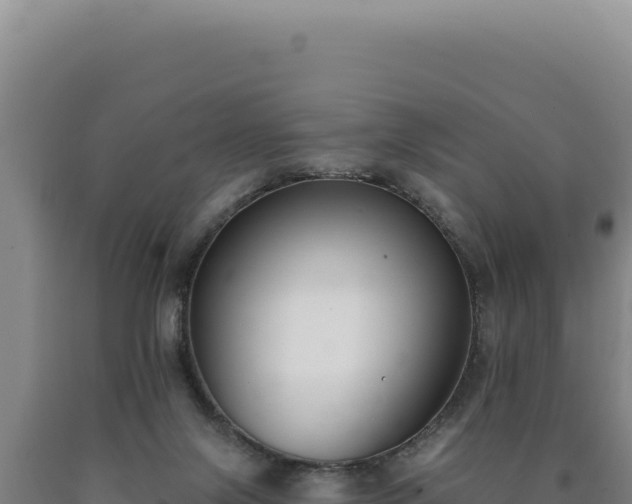 X0000090750071200707271454