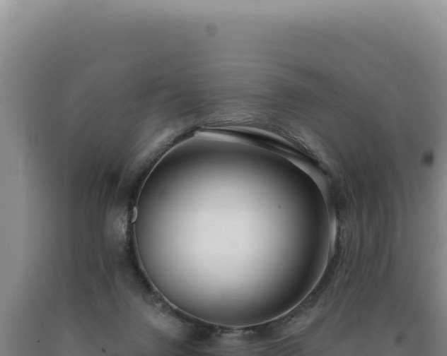 X0000090750072200707271454