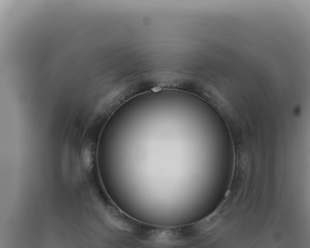 X0000090750074200707271454