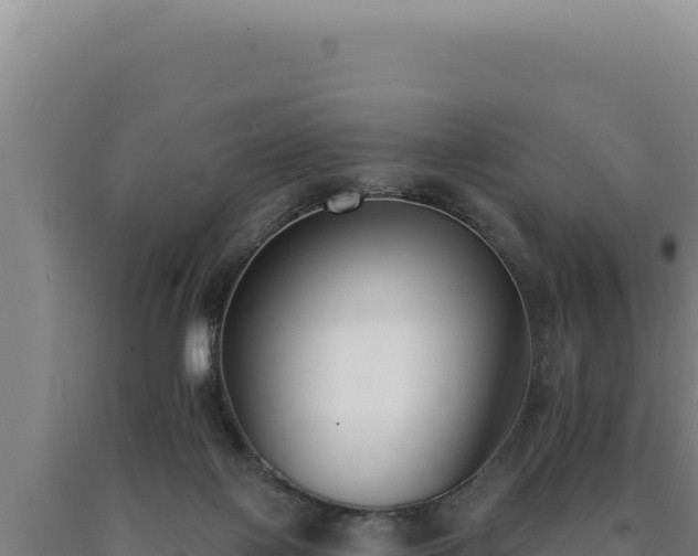 X0000090750075200707271454