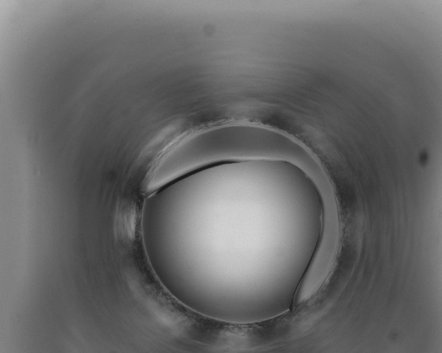 X0000090750076200707271454