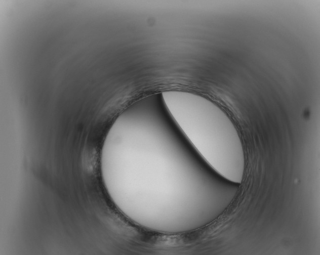 X0000090750077200707271454