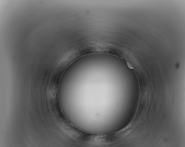 X0000090750078200707271454