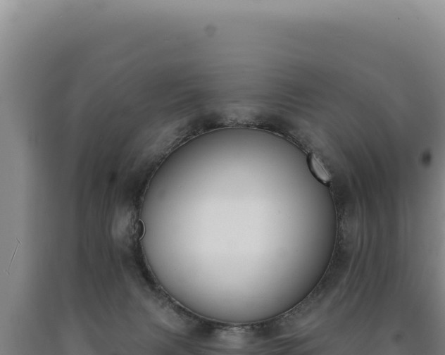 X0000090750079200707271454