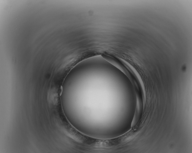 X0000090750080200707271454