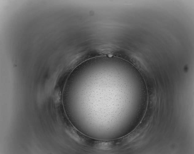 X0000090750081200707271454