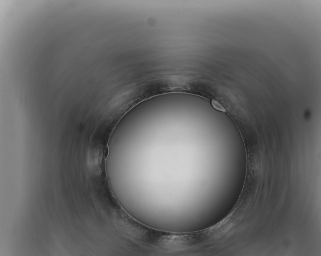 X0000090750082200707271454