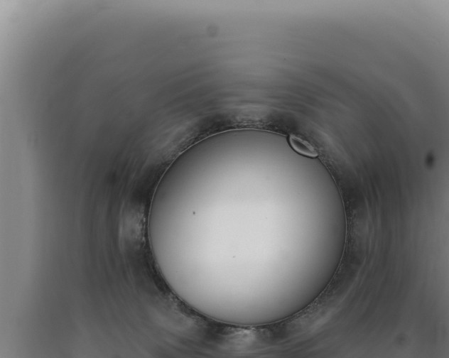 X0000090750083200707271454