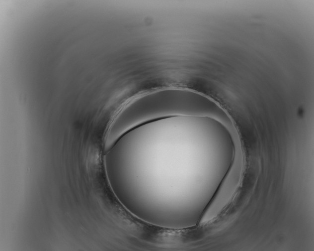 X0000090750084200707271454