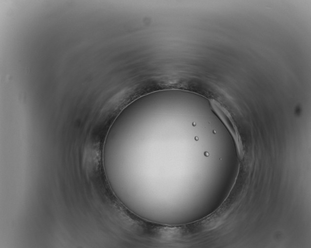 X0000090750085200707271454