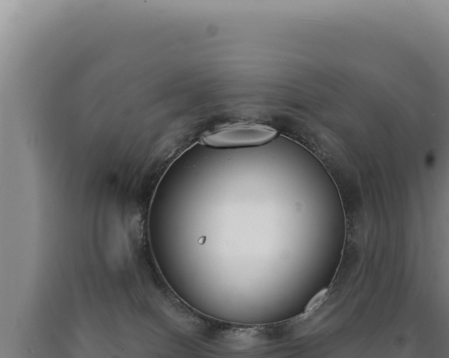 X0000090750086200707271454