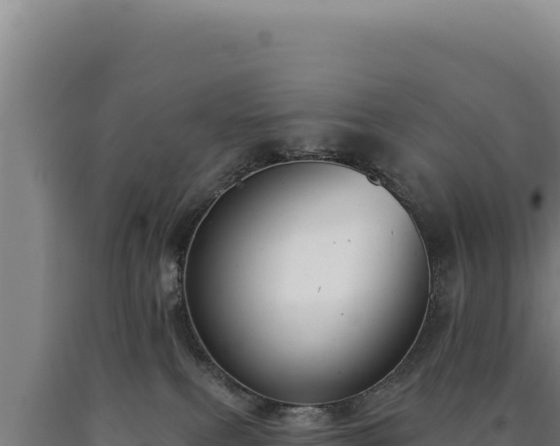 X0000090750087200707271454