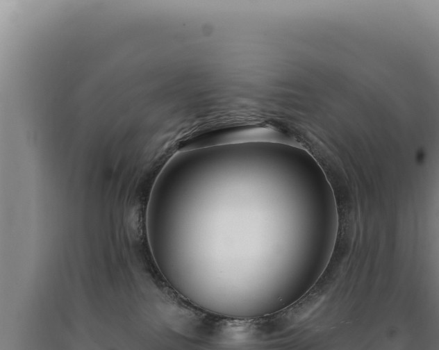 X0000090750088200707271454