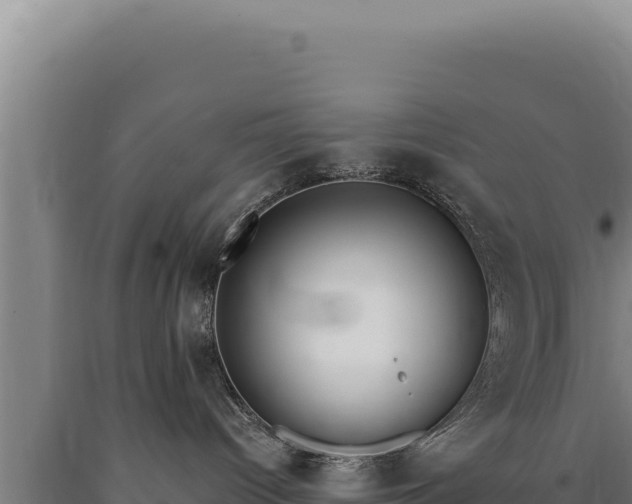 X0000090750096200707271454