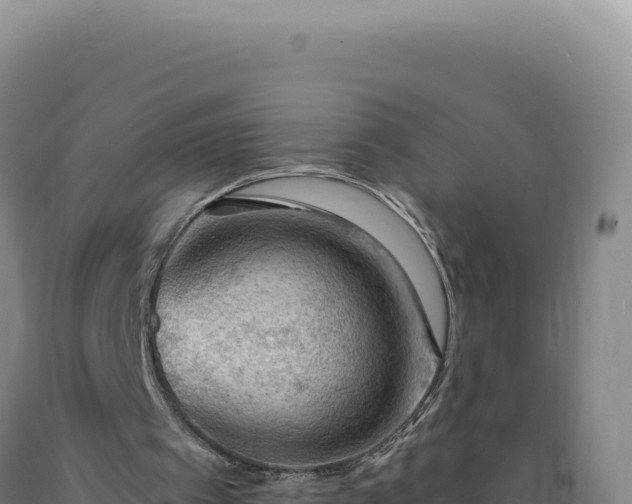 X0000090750097200707271453