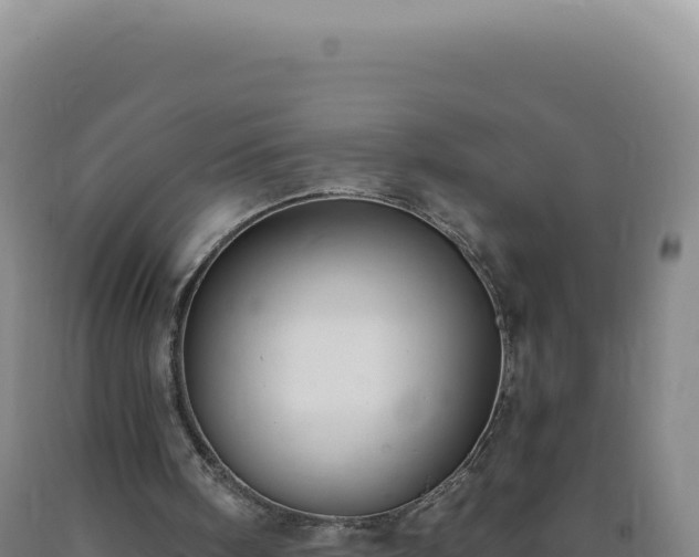 X0000090750098200707271453