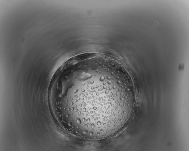 X0000090750099200707271453