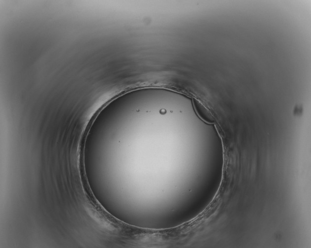 X0000090750100200707271453