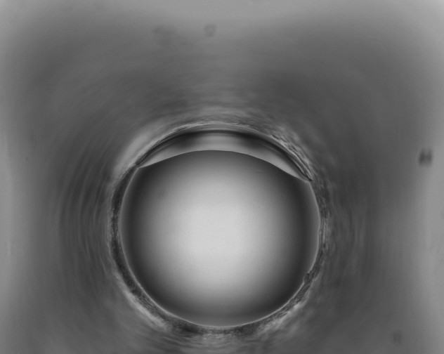 X0000090750101200707271453