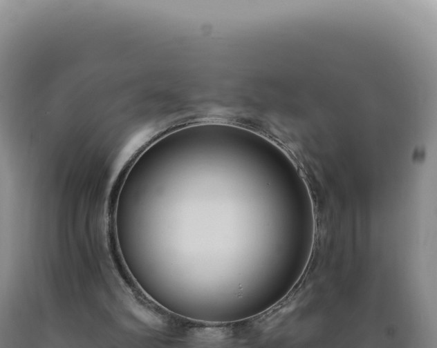 X0000090750102200707271453