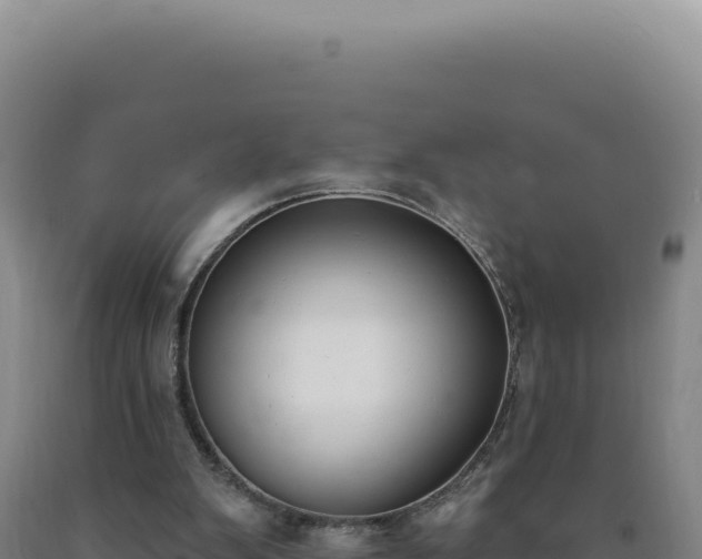 X0000090750103200707271453