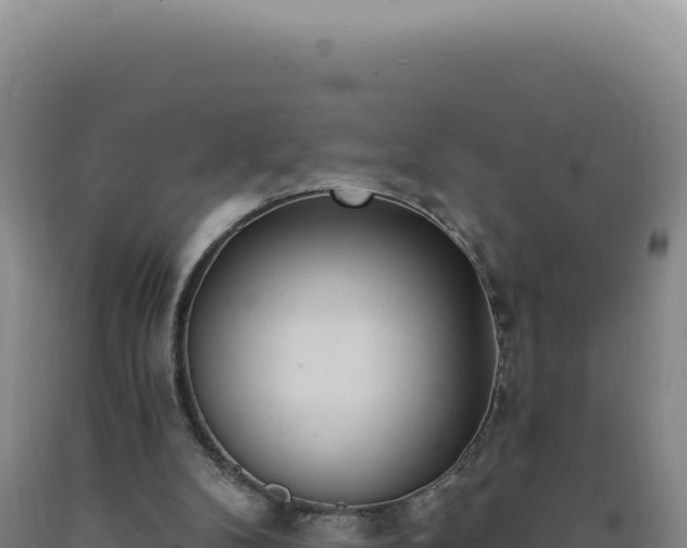 X0000090750104200707271453