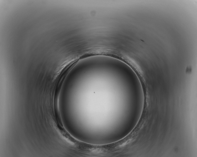 X0000090750105200707271453