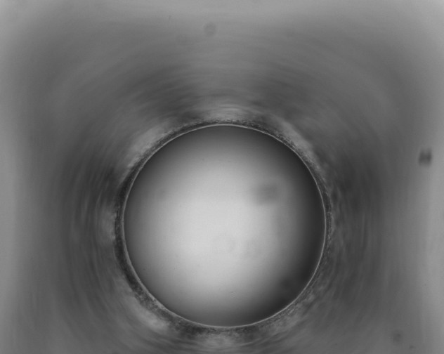 X0000090750106200707271453