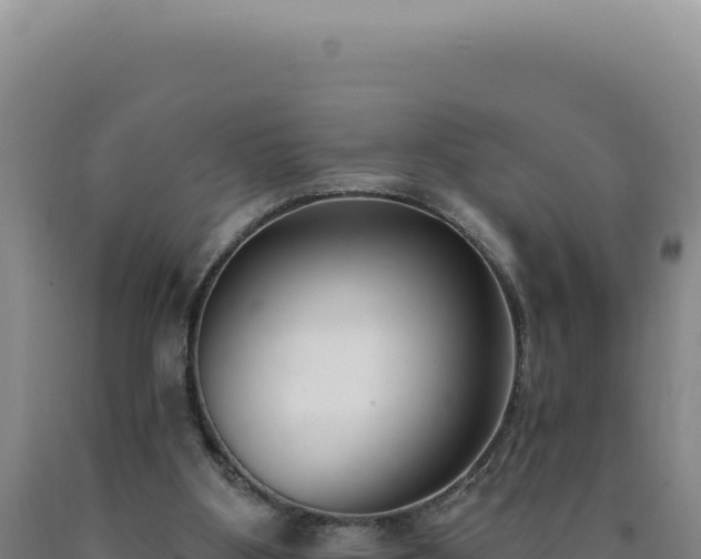 X0000090750107200707271453