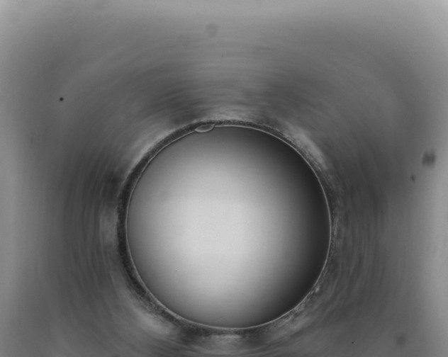 X0000090750108200707271453