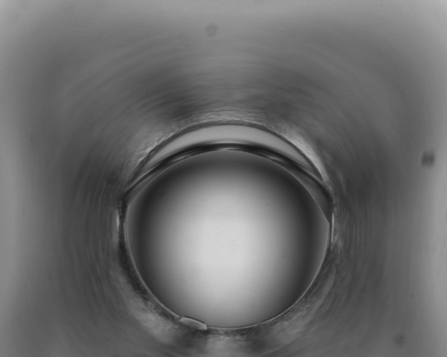 X0000090750109200707271453