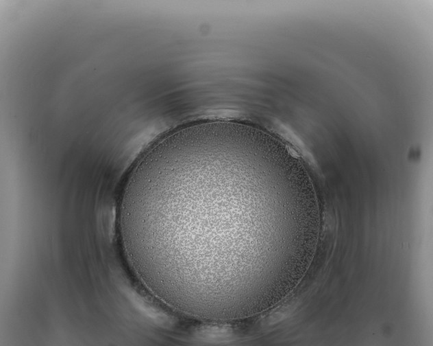 X0000090750110200707271453