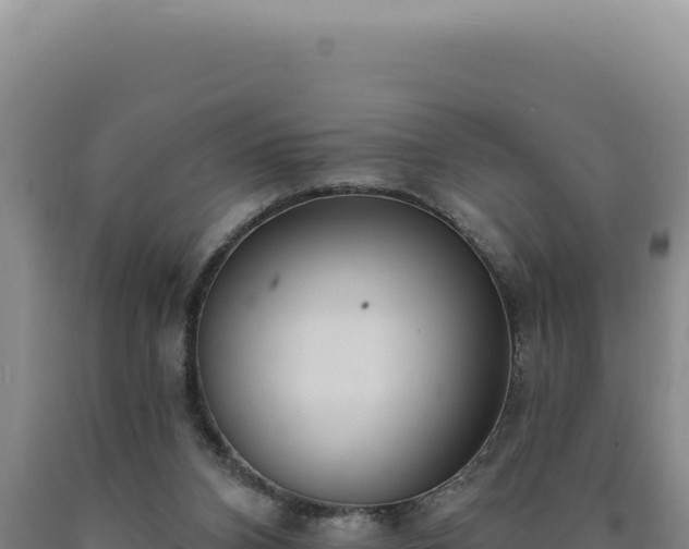 X0000090750112200707271453