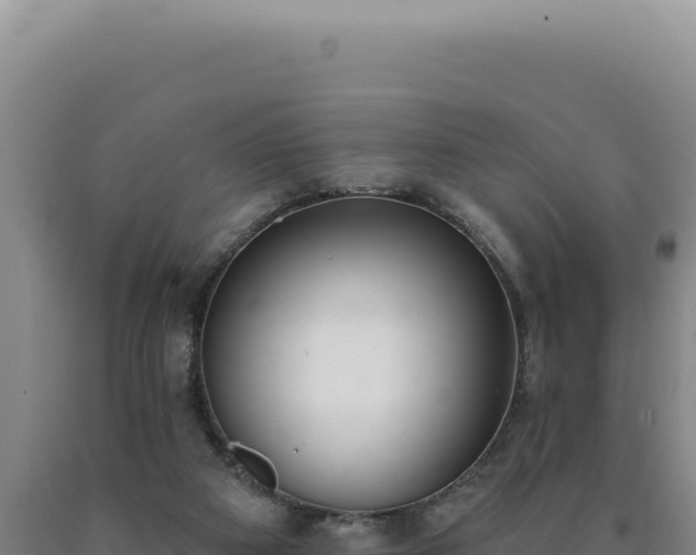 X0000090750113200707271453